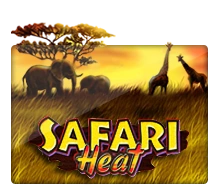 Joker123 : Safari Heat - SMARTGAMING138