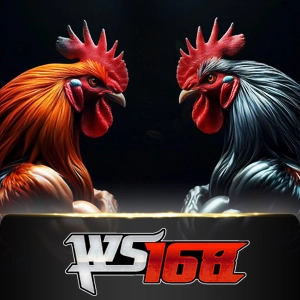 Ws168 Sabung - SMARTGAMING138