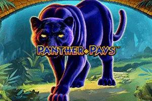 Panther Pays - SMARTGAMING138