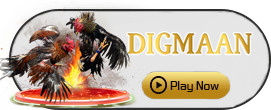 Digman - SMARTGAMING138