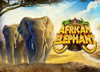 African Elephant - SMARTGAMING138